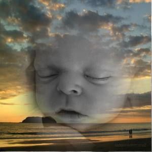 Meet your Posher, Dorothy